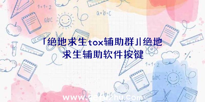 「绝地求生tox辅助群」|绝地求生辅助软件按键